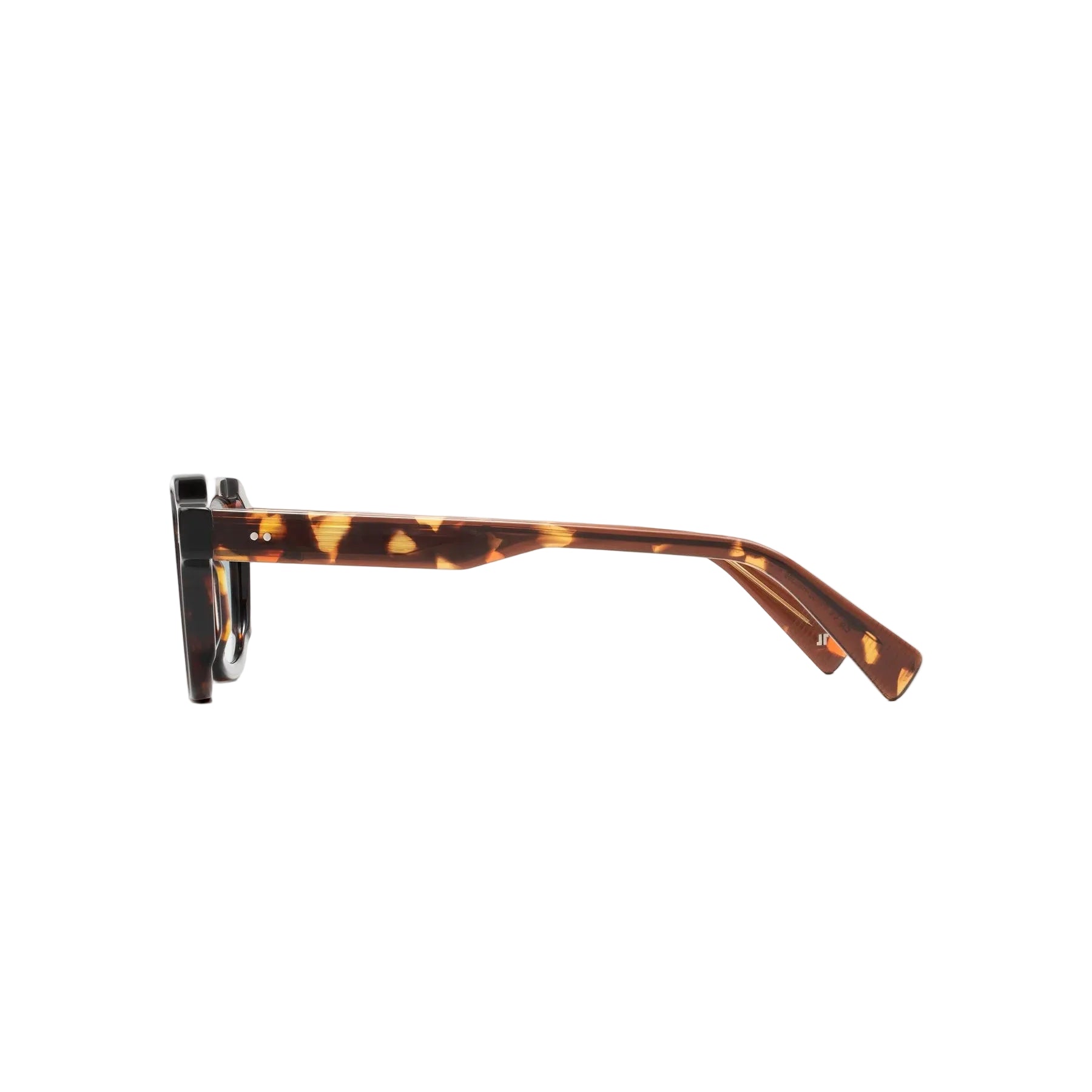 Tortoiseshell glasses with 'CARIN' branding on a white background