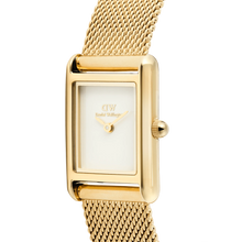 Load image into Gallery viewer, Bound Mini Evergold