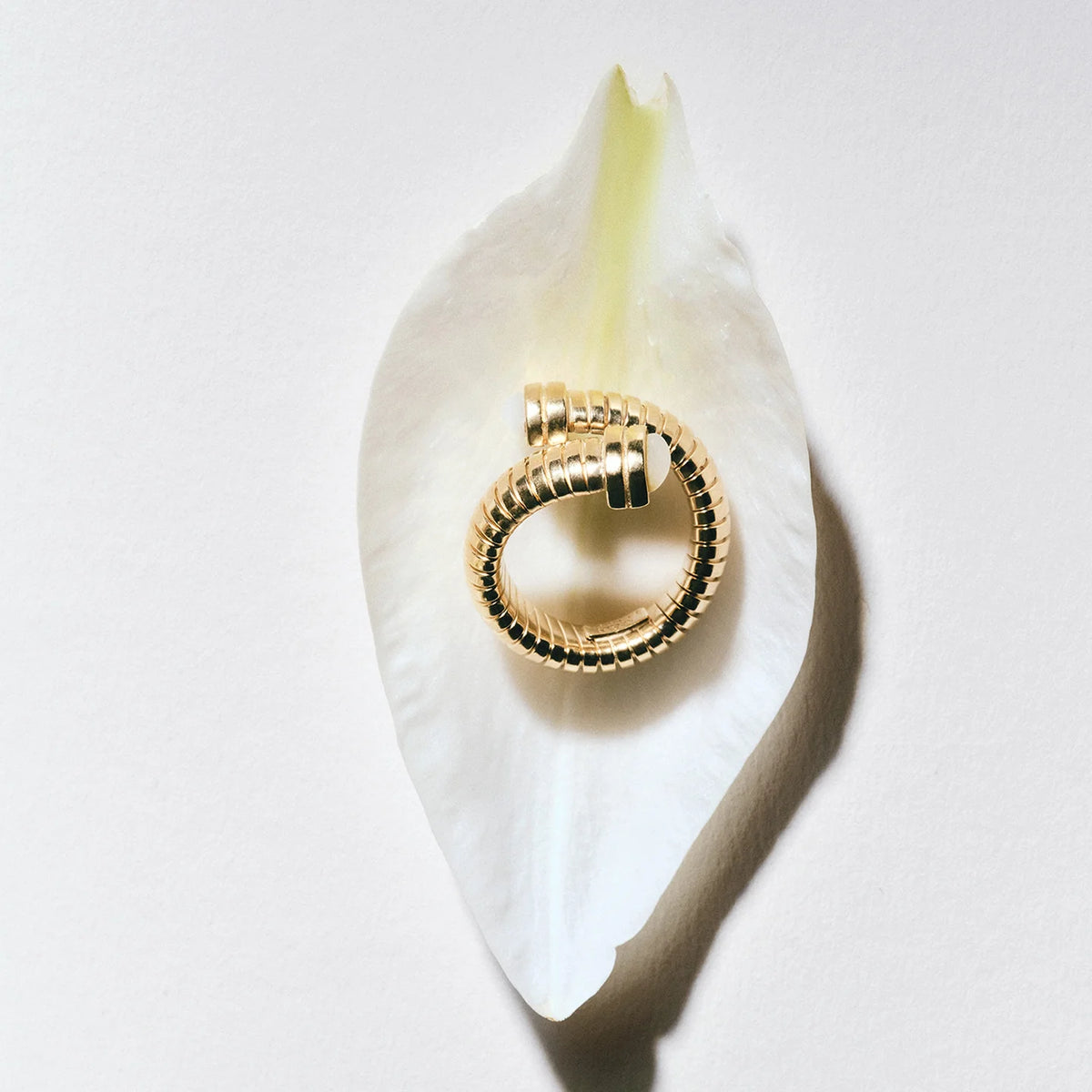 Antigone Ring – White Mother-of-Pearl