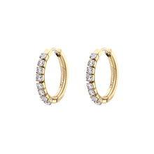 Load image into Gallery viewer, Earrings Desideri
