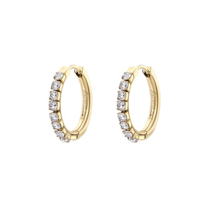 Earrings Desideri