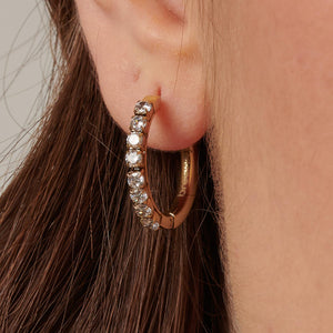 Earrings Desideri