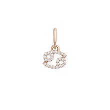 Load image into Gallery viewer, Zodiac Watch Charm Rose Gold
