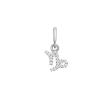 Load image into Gallery viewer, Zodiac Watch Charm Silver
