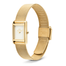 Load image into Gallery viewer, Bound Mini Evergold
